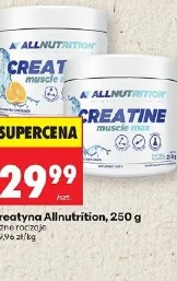 Kreatyna Allnutrition