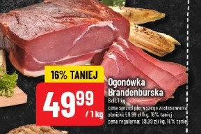 Ogonówka Brandenburska Bell