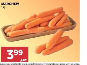 Marchew