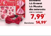 Bandama lub krawat lub muszka dla zwierzaka różne rodzaje