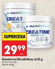 Kreatyna Allnutrition