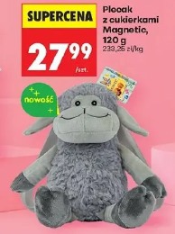 Plecak z cukierkami Magnetic