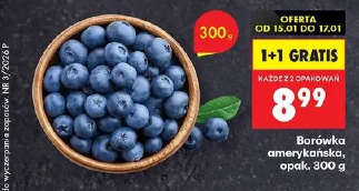 Borówka amerykańska