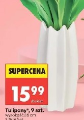 Tulipany