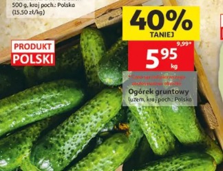 Ogórek gruntowy