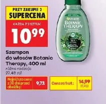 Szampon do włosów Botanic Therapy