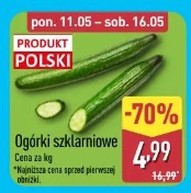 Ogórki szklarniowe