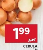 Cebula