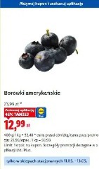 Borówki amerykańskie