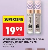 Wodoodporny korektor w płynie Eveline Camouflage