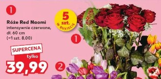 Róże Red Naomi intensywnie czerwone