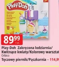 Play-Doh Zakręcona lodziarnia/Kwitnące kwiaty/Kolorowy warsztat