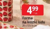 Forma na kostki lodu