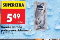 Świeża dorada patroszona Marinero