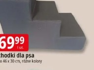 Schodki dla psa