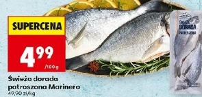 Świeża dorada patroszona Marinero