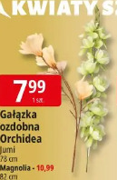Gałązka ozdobna Orchidea Jumi