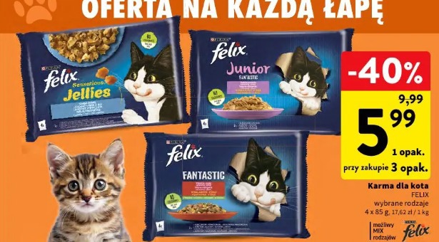 Karma dla kota Felix