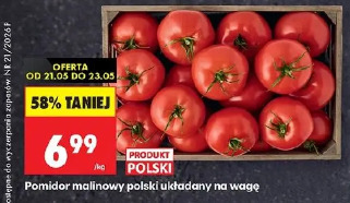 Pomidor malinowy polski