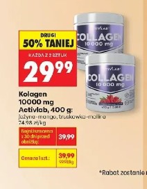 Kolagen 10000 mg Activlab, 400 g