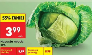 Kapusta młoda