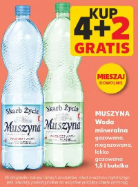 Muszyna Woda mineralna gazowana, niegazowana, lekko gazowana
