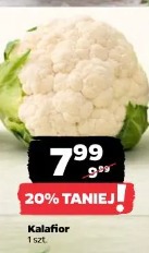 Kalafior