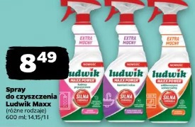 Spray do czyszczenia Ludwik Maxx