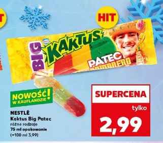 Nestlé Kaktus Big Patec różne rodzaje