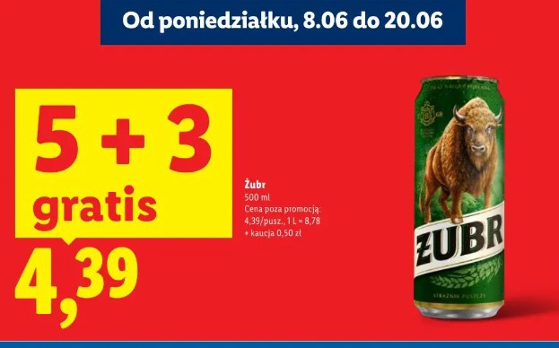 Żubr