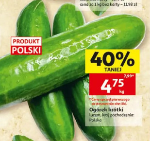 Ogórek krótki