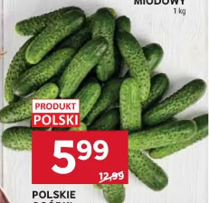 Polskie ogórki gruntowe