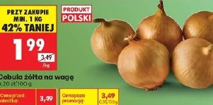 Cebula żółta