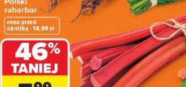 Polski rabarbar