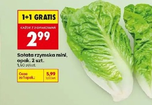 Sałata rzymska mini, opak. 2 szt.