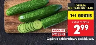 Ogórek szklarniowy polski