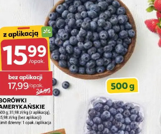 Borówki amerykańskie 