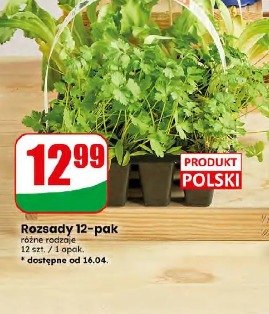 Rozsady 12-pak
