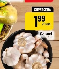 Czosnek