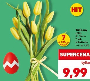 Tulipany żółte