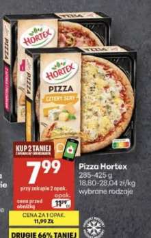 Pizza Hortex
