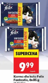 Karma dla kota Felix Fantastica