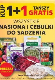 Nasiona i cebulki do sadzenia