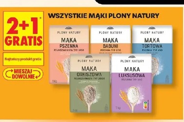Wszystkie mąki Plony Natury