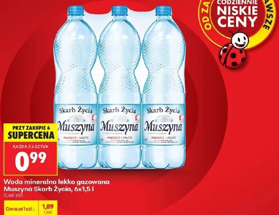 Woda mineralna lekko gazowana Muszyna Skarb Życia