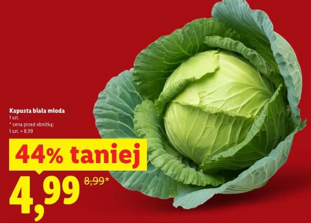 Kapusta biała młoda