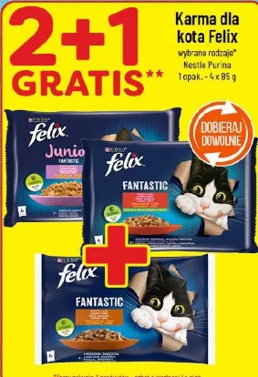 Karma dla kota Felix