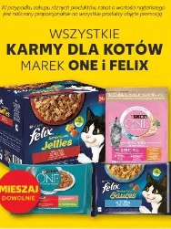 Karmy dla kotów marek One i Felix