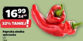 Papryka słodka spiczasta