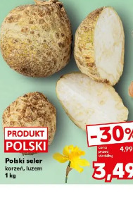 Polski seler korzeń